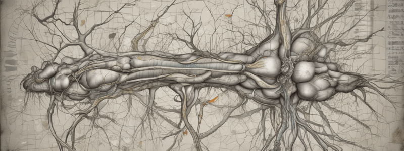 Upper Limb Nerve Lesions and Classification