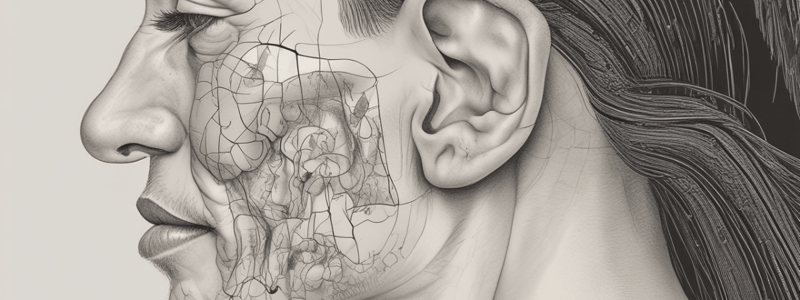 Conditions of the External Ear Quiz