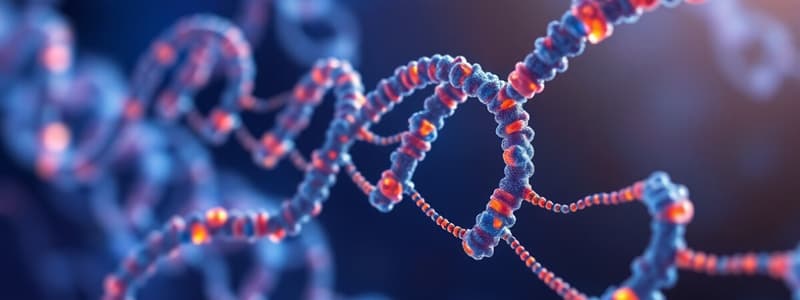 Eukaryotic Chromosome Structure Quiz