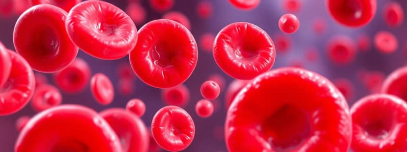 Hematopoiesis: Proses dan Lokasi