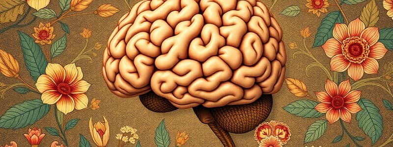 Neuroscience Quiz: Brain Development and History