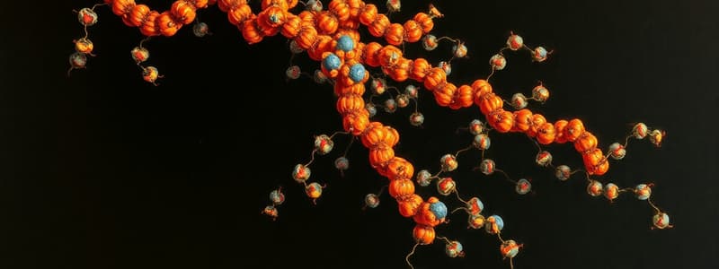 PCR and Recombinant Protein Production Quiz