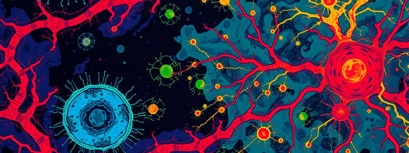 Glial Cells and Blood-Brain Barrier Overview