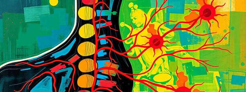 Lecture 3- Reflexes, Spinal Cord & Spinal Tracts