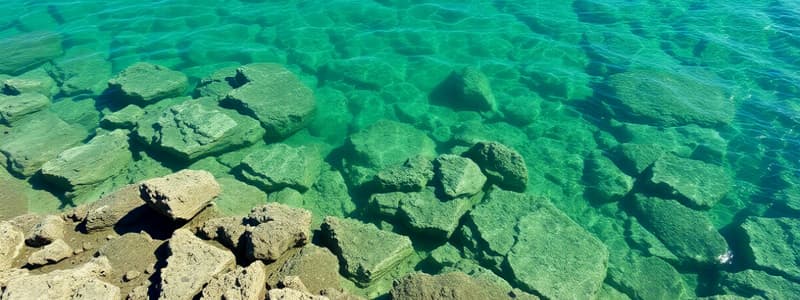 Águas Minerais Naturais em Portugal