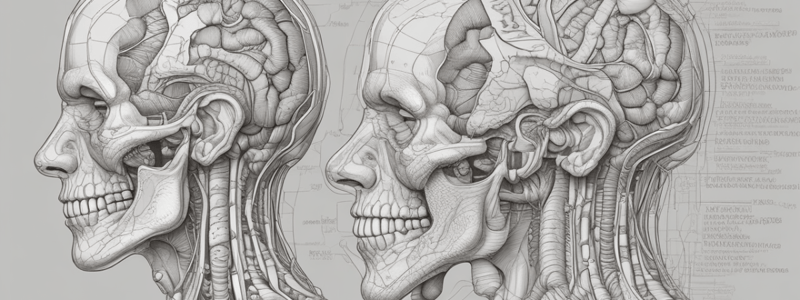 Year 2 Anatomy Spotter Quiz