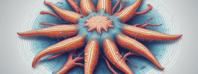 Echinoderms and Their Characteristics Quiz