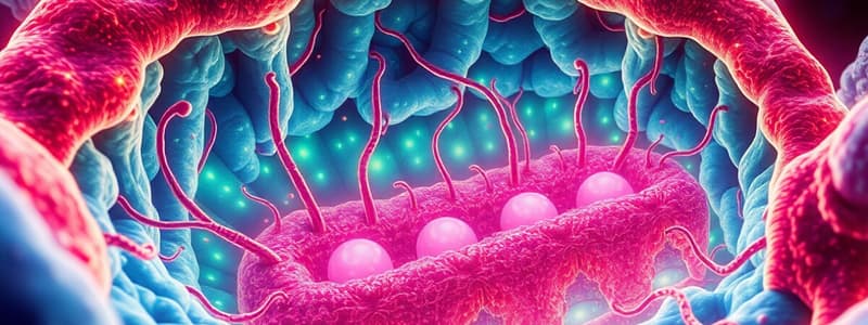 Cell Biology: Endomembrane System & ER