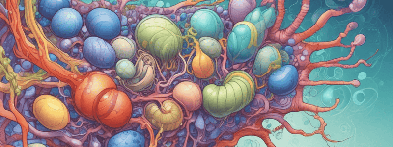 Cell Membrane Structure & Function Quiz