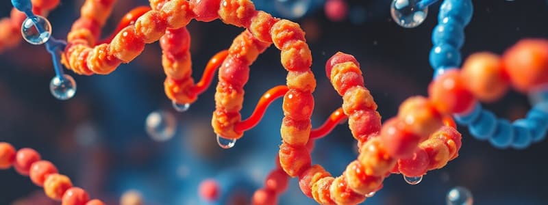 Macromolecules: Carbohydrates, Lipids, and Nucleic Acids