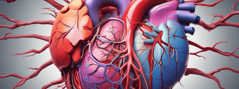 Cardiac Anatomy: Coronary Sinus Pathway and Branches Quiz