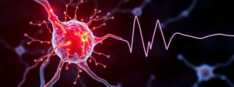 Neuroscience Action Potential Chapter 4