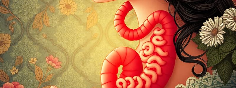 Gastritis: Inflammation of the Gastric Mucosa