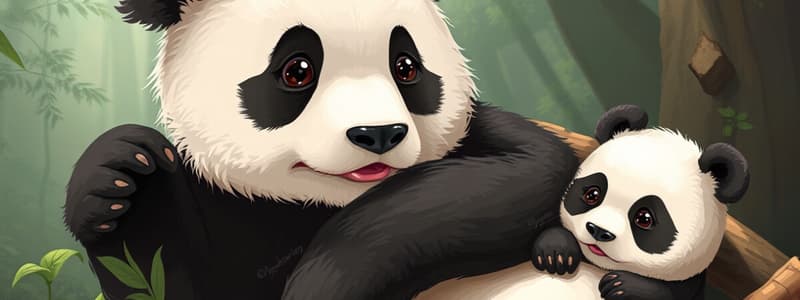 Pandas and Vocabulary