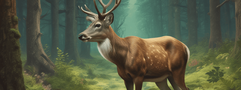 Deer Biology and Characteristics