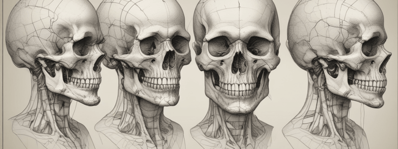 Craniometría suturas y puntos craneométricos