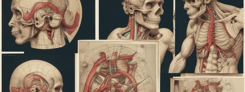 COPY: Pyramidal and Extrapyramidal Tracts Anatomy Quiz