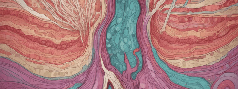 Epithelial Tissue Characteristics