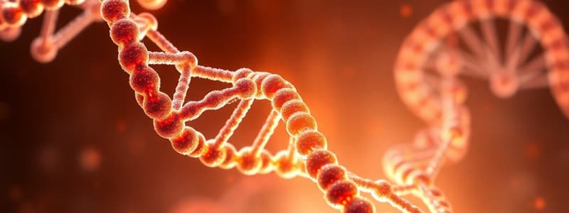 DNA Structure and Chargaff’s Rules