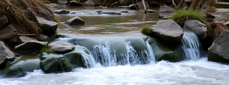 Étapes du cycle de l'eau