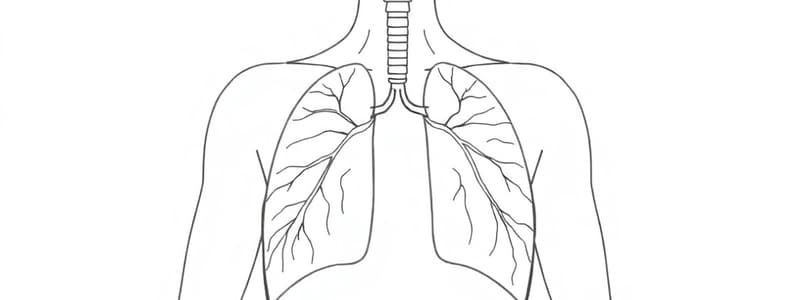 Respirazione e Regolazione 10° Classe (Fisiologia 52)