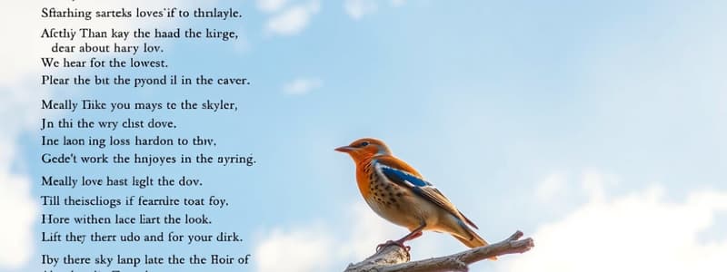 Poetry Analysis: Wordsworth's To The Skylark