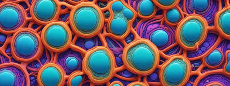 Cell Structure and Function Quiz