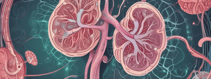 Glomérulonéphrites Aiguës Post-Infectieuses