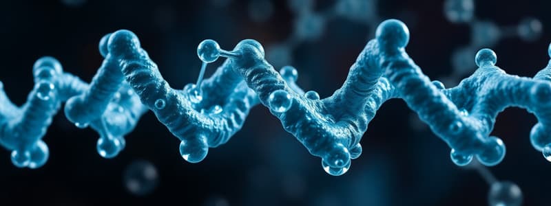 Fonction enzymatique - Chapitre Glucides