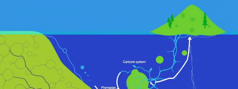 The Carbonate System Overview