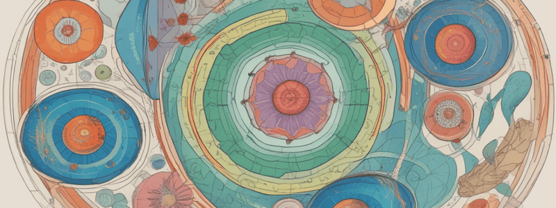 Cell Cycle Regulation and Neoplasia