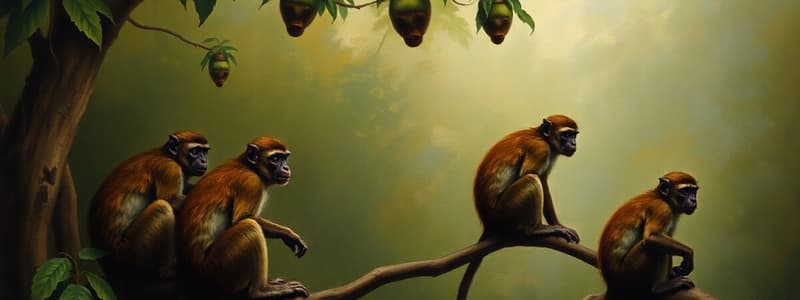 Monkeys: Habitats and Types