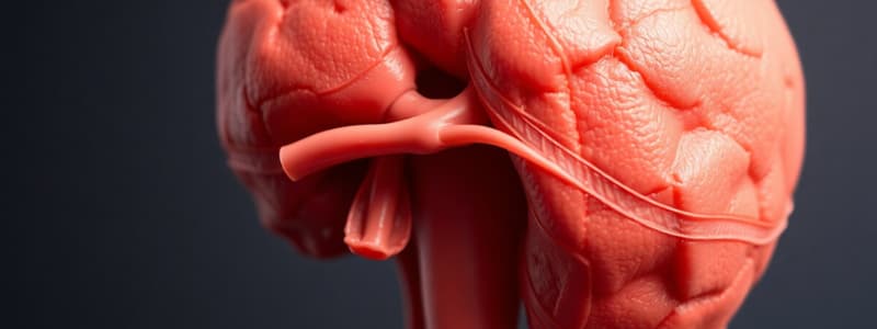 Anterior Pituitary Gland Functions