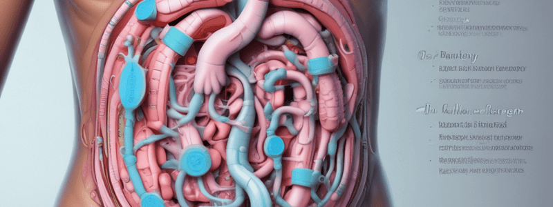 Colon Anatomy: Understanding the Structure and Functions