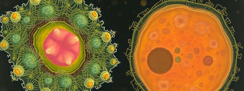 Cell Structure Overview Quiz