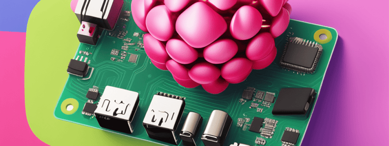 Raspberry Pi OS File System Exploration Quiz