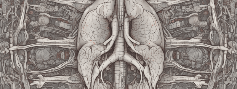 Urinary System Quiz