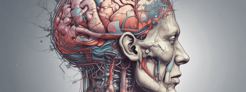 Neurological Evaluation of Head Injuries