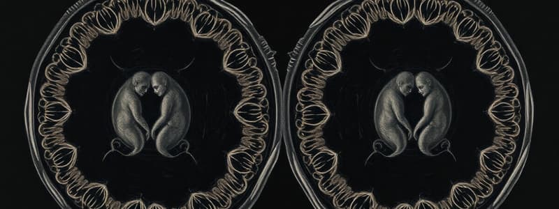 Mitosis and Its Stages