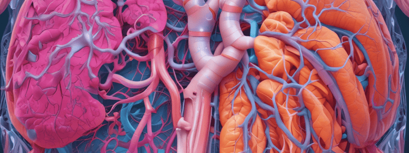 Pulmonary Volumes and Capacities