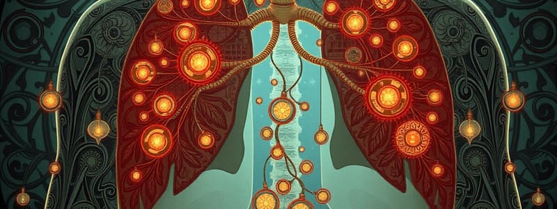 Human Respiratory System Overview