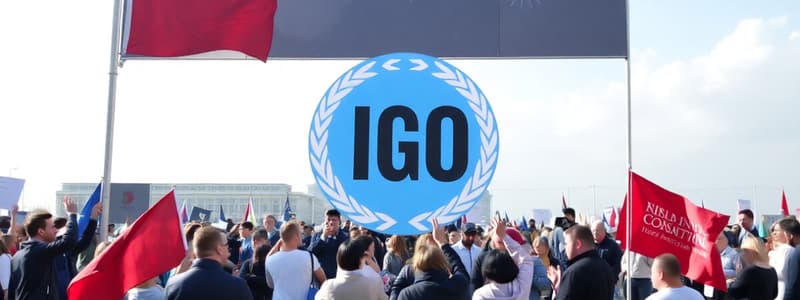 Autonomy of Intergovernmental Organizations (IGOs)