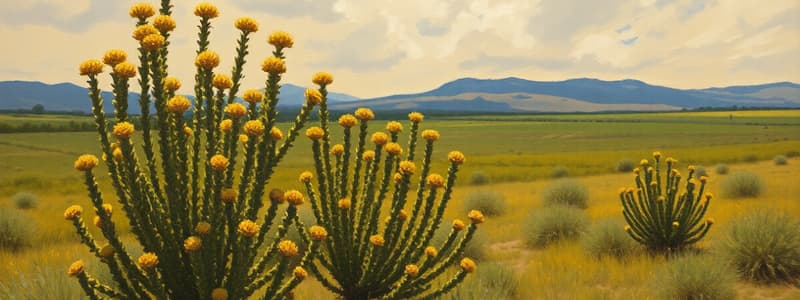 Cultivation and Benefits of Guayule and Ricino