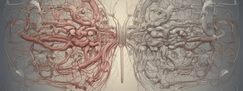 Respiratory System Pressure Dynamics Quiz