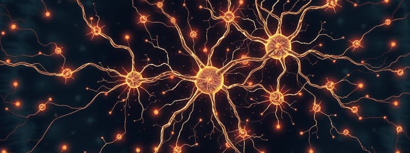 Synaptic Transmission and Electrical Synapses