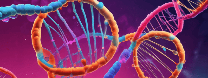 DNA Mutations and Cell Proliferation Quiz