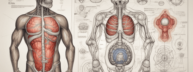 Hepcidin and Iron Metabolism