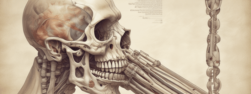 Biology Chapter 9 Fibrous Joints