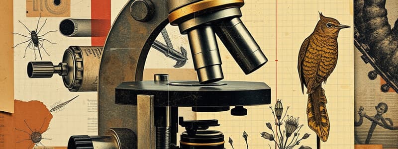 Labeling a Compound Microscope Flashcards