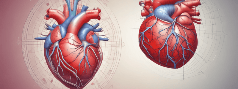 Cardiovascular Physiology: Blood Pressure